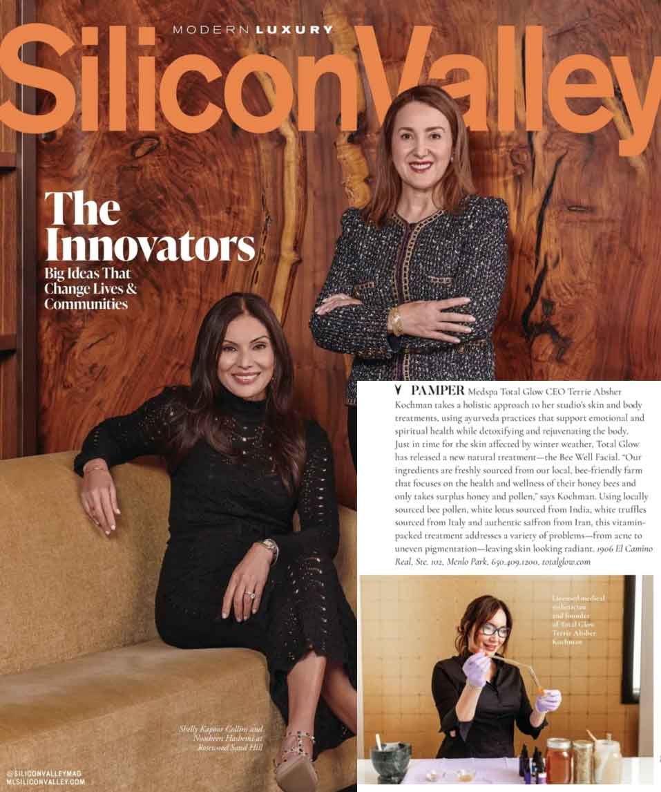Silicon Valley magazine article